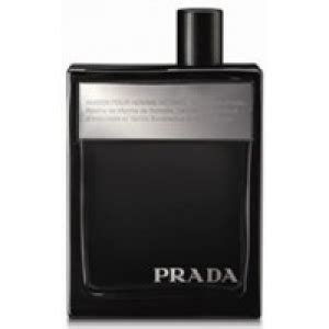 basenotes prada amber vs dior homme site www.basenotes.net|Exploring the Notes of Prada Amber: A Basenotes Fragrance .